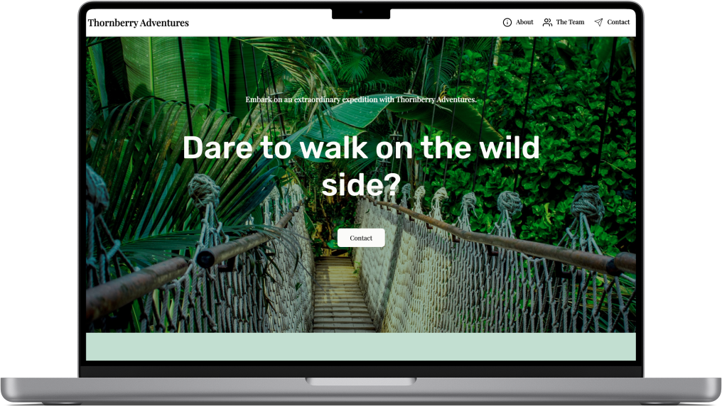 Project website rendered onto device